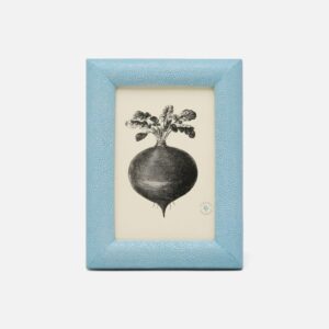 A black and white illustration of a turnip in a blue textured frame.