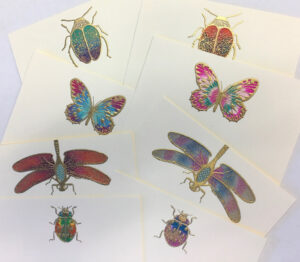 Colorful insect illustrations on cream cards, featuring butterflies, beetles, and a dragonfly.